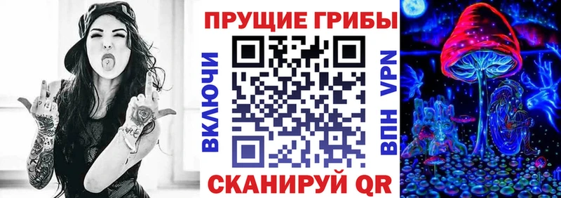 где купить   Иланский  MEGA онион  Псилоцибиновые грибы GOLDEN TEACHER 