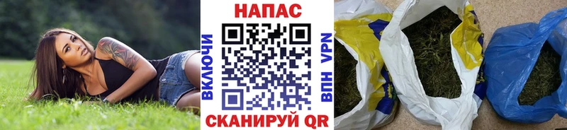 Марихуана OG Kush  Иланский 